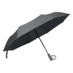 RAIN - slika 2