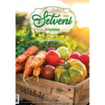 SETVENI KOLEDAR MARIJE THUN 2027